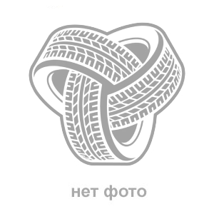 295/35  R21  Triangle SporteX TH201 107Y